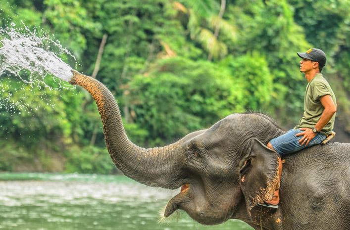 Bukit Lawang